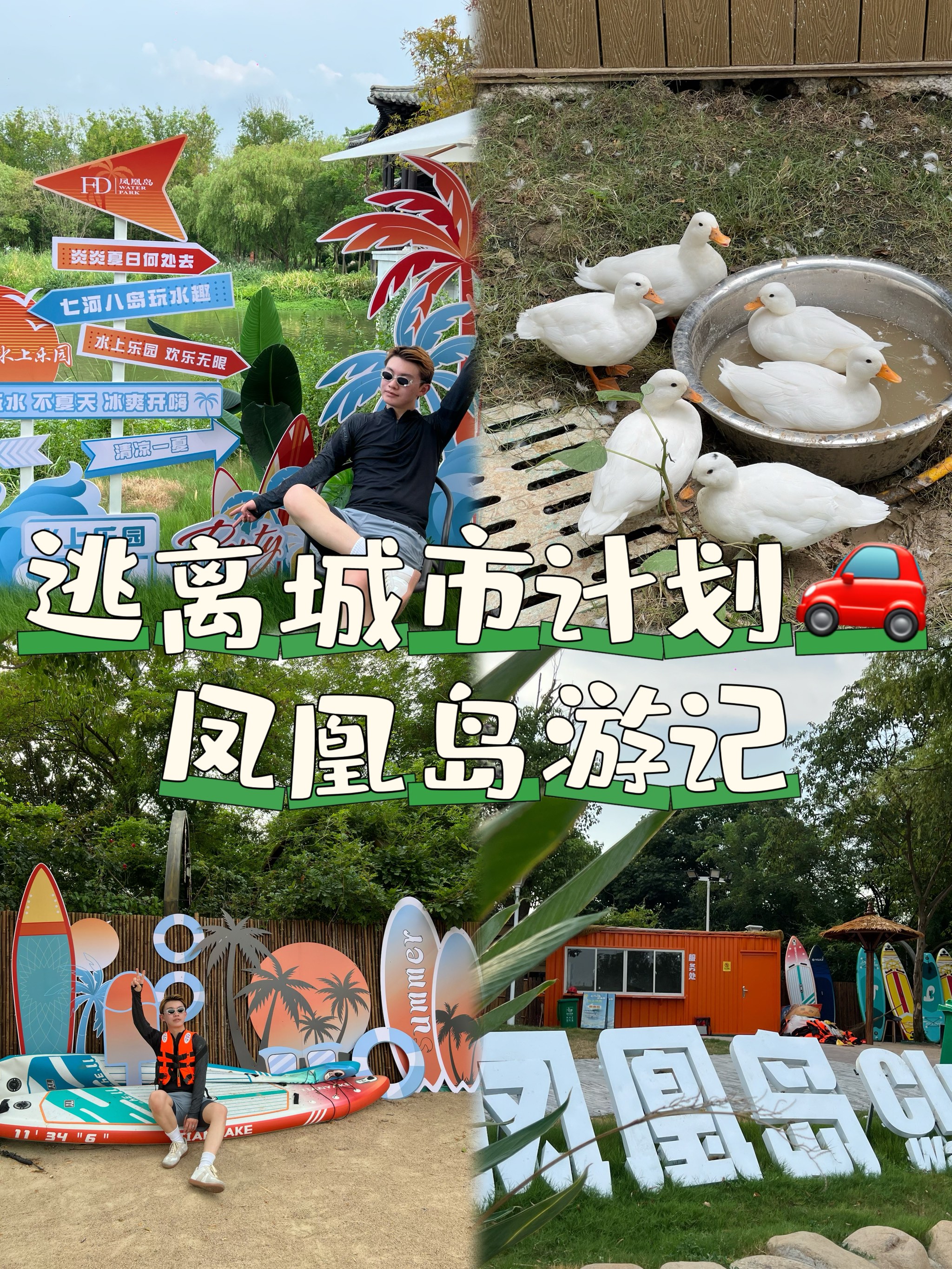 凤凰岛儿童画图片