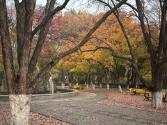 -山东大学(趵突泉校区)
