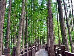 -东湖落雁景区
