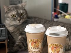 -喜茶(佛山顺德大良东乐路店)