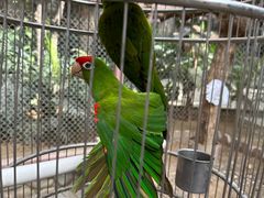 -南宫五洲植物乐园