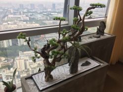 -松和日式美容整骨