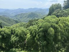 -莫干山风景区