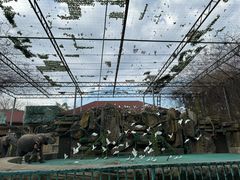 -常州淹城野生动物世界