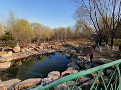 -莫子山公园