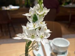 -一坐一忘云南菜(卓悦中心)