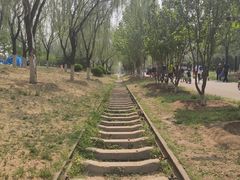 -永定河休闲森林公园