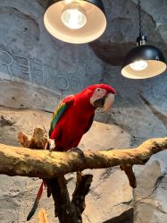 -Zoolung Zoolung动物主题公园(海信广场店)