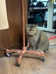 -优刻西服西装定制(金轮国际广场店)