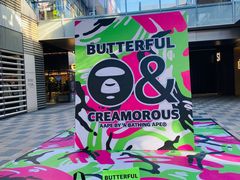 -BUTTERFUL&CREAMOROUS 黄油与面包(三里屯太古里店)