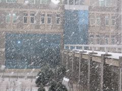 -辽宁大学(崇山校区)