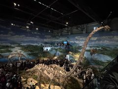 -自贡恐龙博物馆