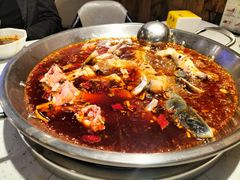 美蛙鱼头-蛙鱼道美蛙鱼自助火锅(新耍都店)