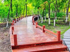 -吉林大学(前卫南校区)