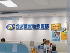 -北京观赏动物医院·24小时大型综合·猫专科·异宠专科
