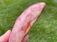 -POO PAN不胖面包