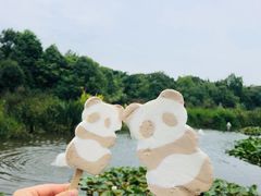 -成都大熊猫繁育研究基地