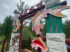 -莫尔道嘎国家森林公园