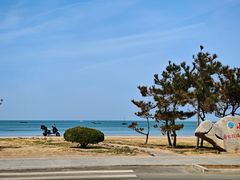 -金海滩海水浴场