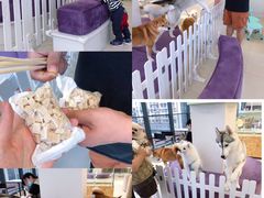 -怪兽屋·羊驼·猫咖·狗咖(俊华广场店)