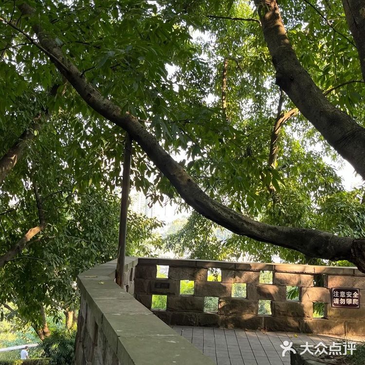 后街文化 记忆新生