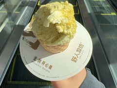 -野人先生现做冰淇淋(北京顺义祥云小镇店)