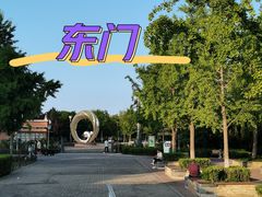 -大兴滨河森林公园