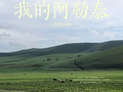 -丰宁坝上草原