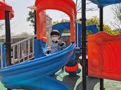 -风云岭森林公园