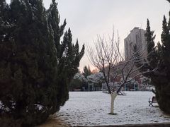 -南京钟山宾馆(江苏省会议中心)