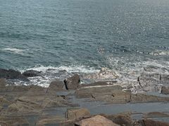 -东平洲海岸公园