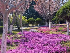 -石岛赤山风景区
