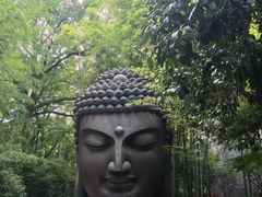 -杭州植物园
