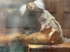 -上海大自然野生昆虫馆