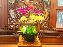 -中国大酒店·食街