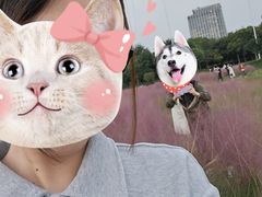 -尚贤河湿地