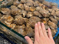 -聚福宝合苑食府(南头镇店)