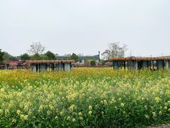 -洪湖家庭农场·团建·露营·会议