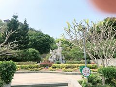 -金鸡山公园