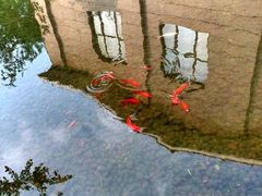 -蟒山（北京）会议中心