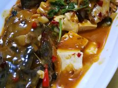 -煲来饱去冷水鱼