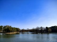 -梁鸿国家湿地公园