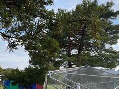 -金泽21世纪美术馆