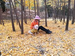 -阳台山自然风景区