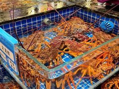 -东海怡品海鲜豆捞(星街坊店)