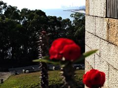 -胡里山炮台