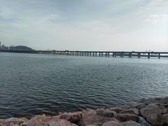 -宝安西湾红树林湿地公园