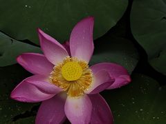 -陶然亭公园