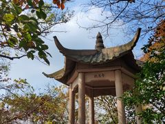-紫金山山顶公园