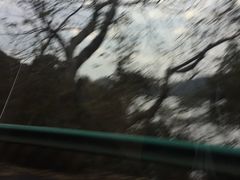 -碧水豪园·足浴·SPA·汗蒸·那须汤泉(中山东路店)
